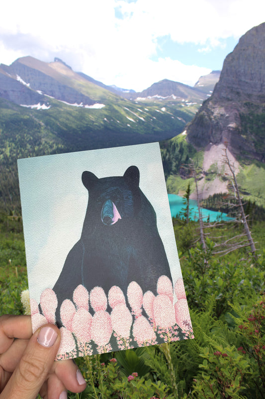 Animal Greeting Card Bundle