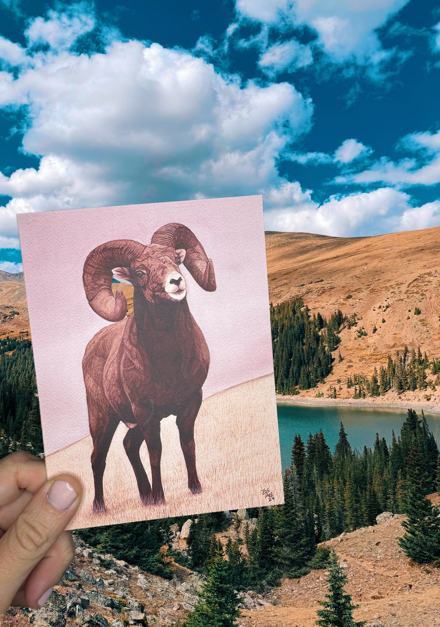 Animal Greeting Card Bundle