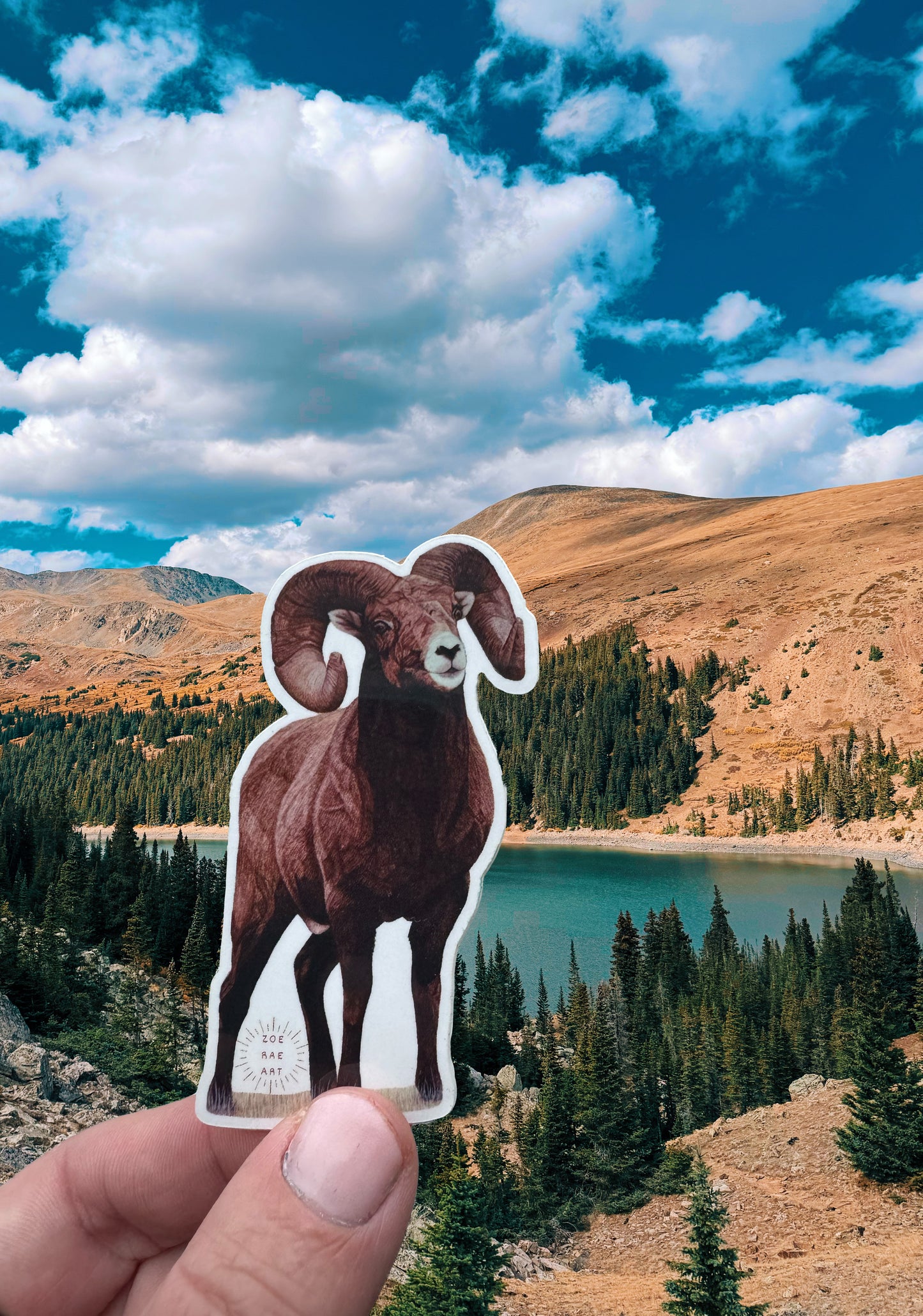 Bighorn Sheep Sticker