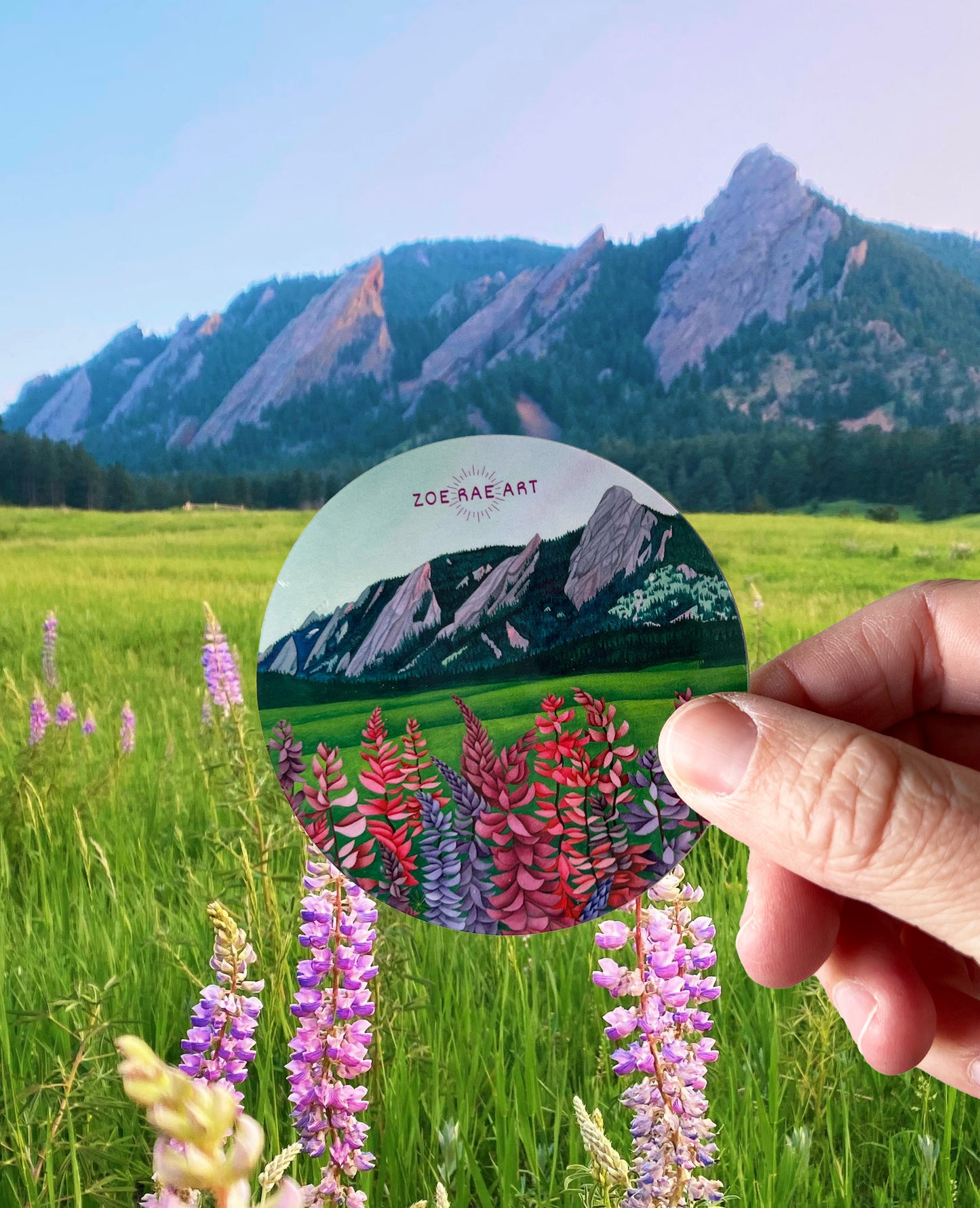 Flatirons with Lupines Sticker