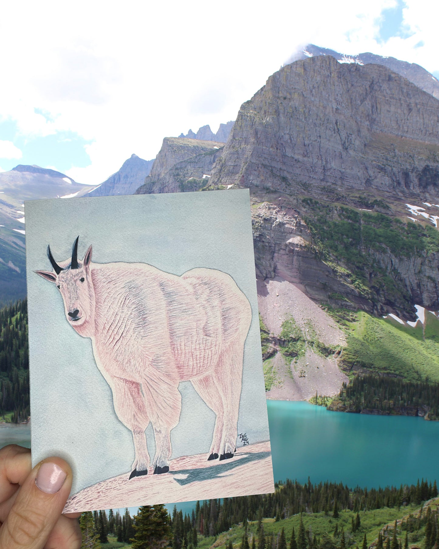 Animal Greeting Card Bundle