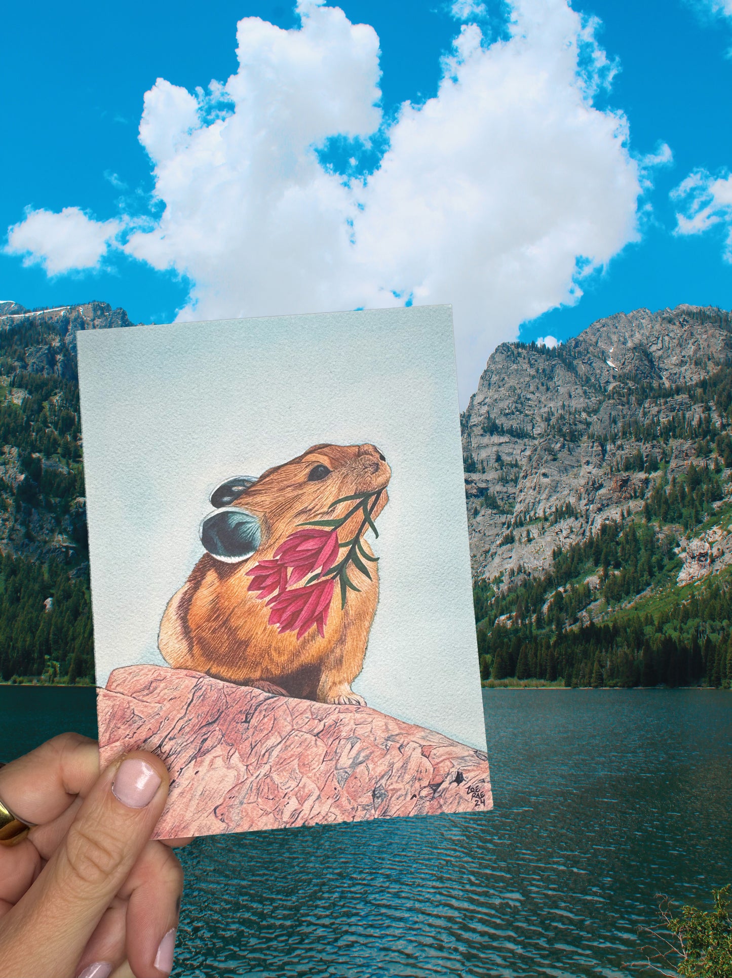 Animal Greeting Card Bundle