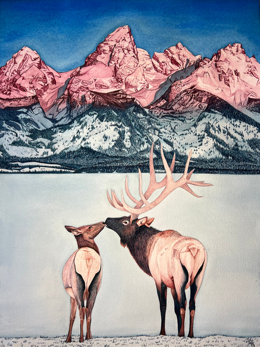Grand Teton with Elks
